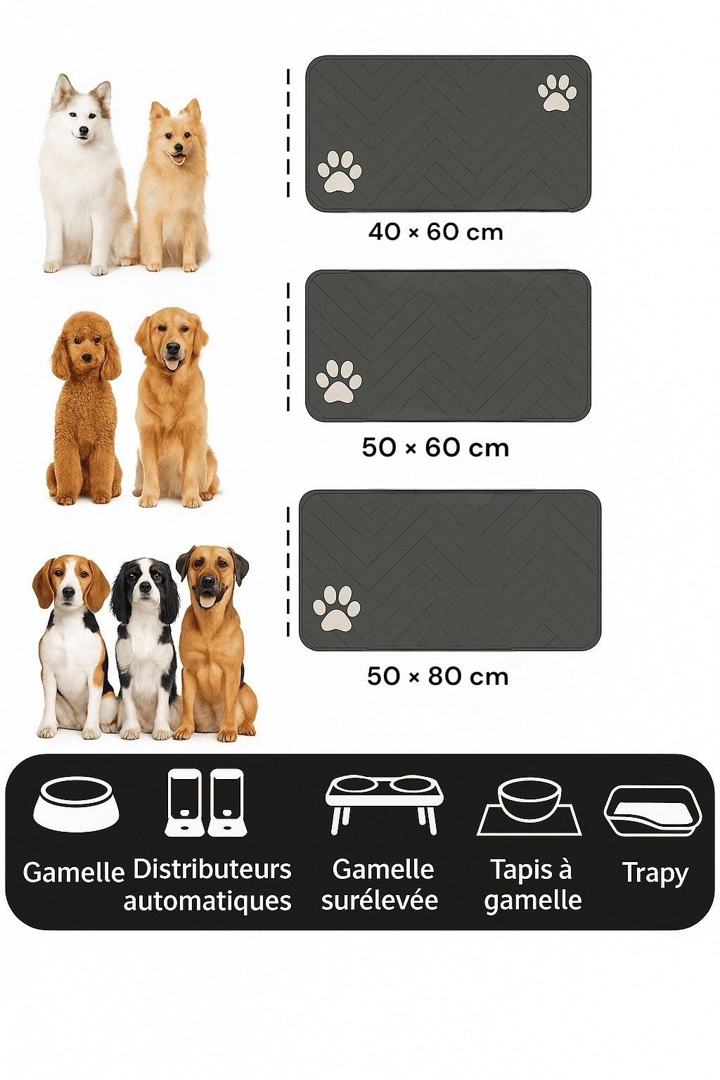 Tapis antidérapants pour chien