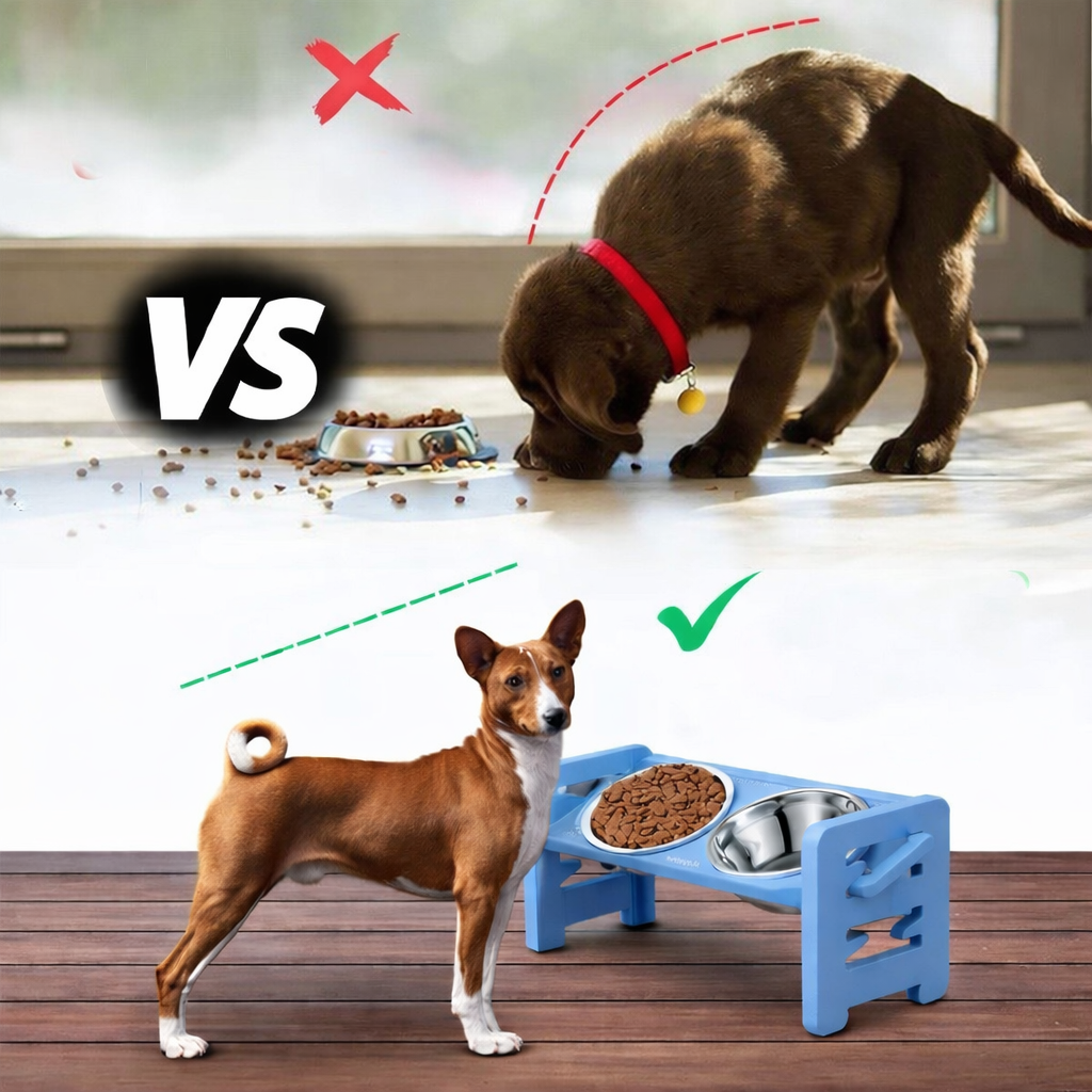 Gamelle réglable anti-éclaboussures