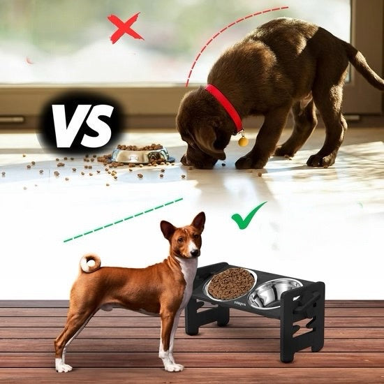 Gamelle Réglable anti-éclaboussures